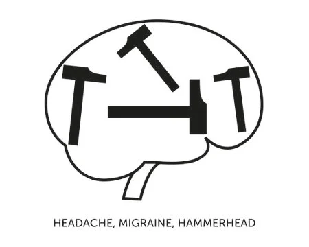 Headache Hammerhead Solid Stock Illustration