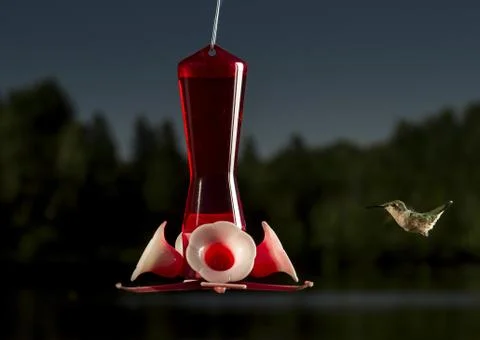 Heading in for lunch Stock-Fotos