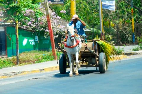 Heading to market Foto stock