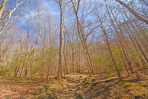 Heading up Mountain Trail in Early Spring Photos
