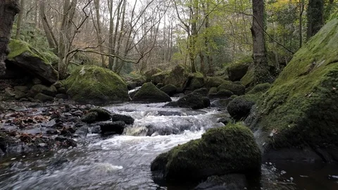 Heading up stream, Goit Stock, Drone, Yorkshire Stock-Footage 93243099