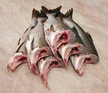Headless carcass silver carp Stock Photos