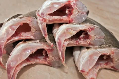 Headless carcass silver carp Stock Photos