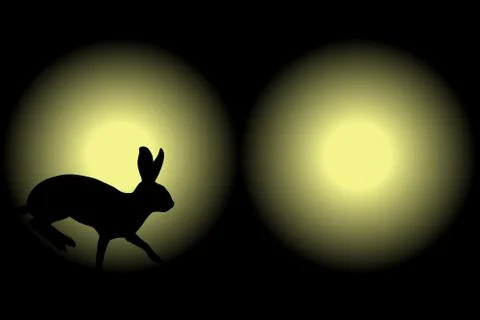 Headlight rabbit Illustrazione stock
