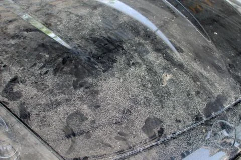 Headlights car Stock Photos