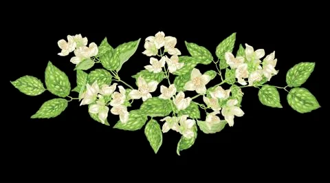 Headline decor element in vector Stock Illustration