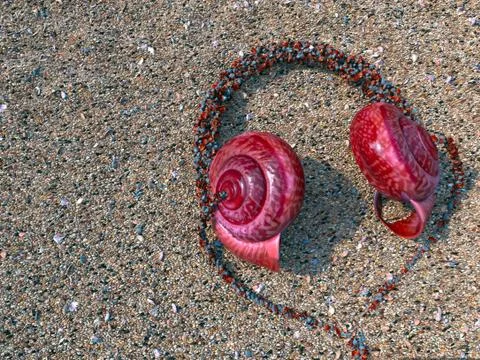 Headphones from seashells on the sand Stock Illustration