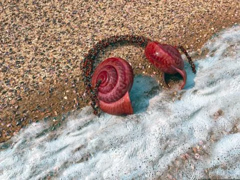 Headphones from seashells on the sand Stock Illustration