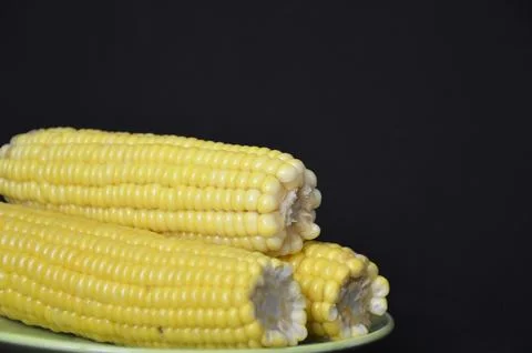 Heads of boiled corn on a black background. ready to eat delicious vegetable Stock Photos
