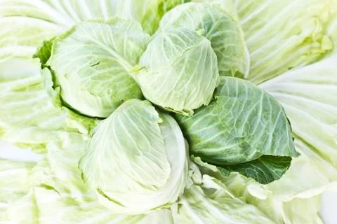 Heads of cabbage. Stock Photos
