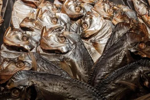 Heads of dried selenium Stock Photos