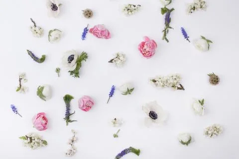 Heads of Easter flowers Foto stock