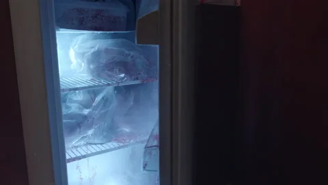 Heads in a Fridge Stock Footage 143596970