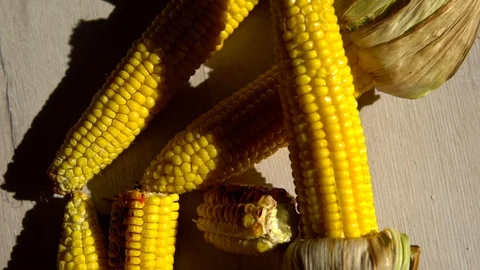 Heads of fried corn are on the table and sprinkled with salt . close up. corn's Stock Footage 91699906