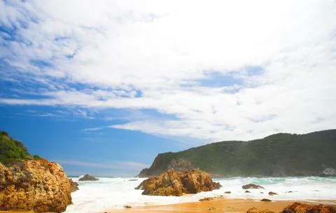 The heads Stock Photos