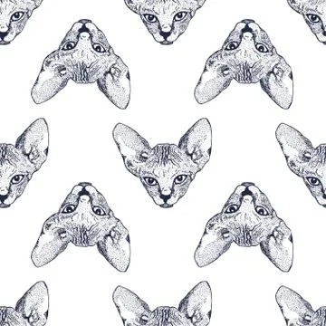 Heads Sphinx kittens seamless pattern. The cat is spotty. Prints for clothes, Stock Illustration