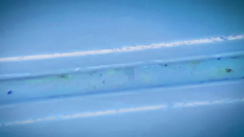 Headset button under stereo microscope, magnified 40 times Stock Footage 167061386