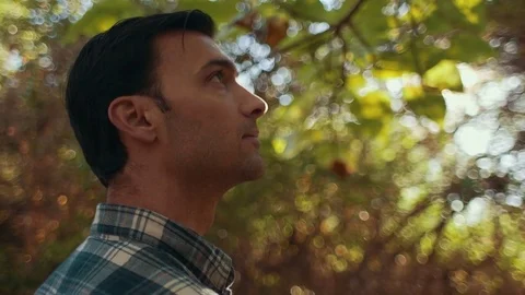 Headshot Man Observing Forest on a Bright Morning Stock Footage 81491974