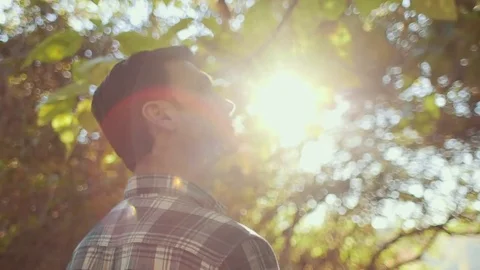 Headshot of Man Observing Forest on a Bright Morning Stock Footage 81491995