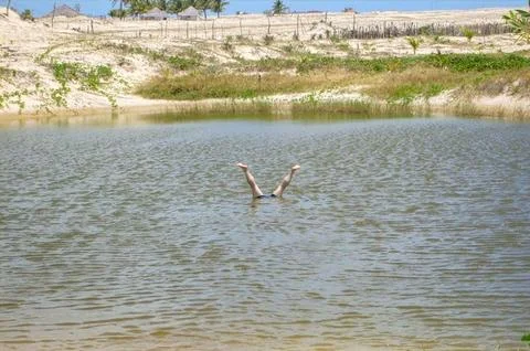 Headstand in the lake Stock Photos