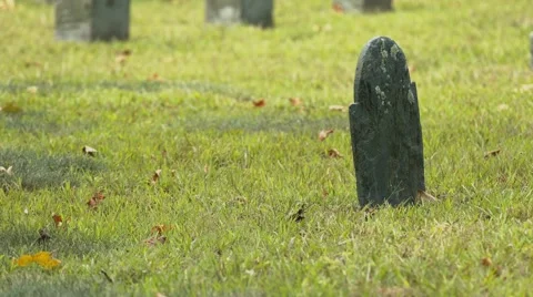 Headstone in Cemetery Stock Footage 40909908