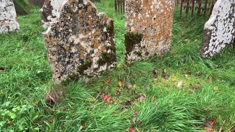 Headstone of graves in churchyard Stock Footage 221432082