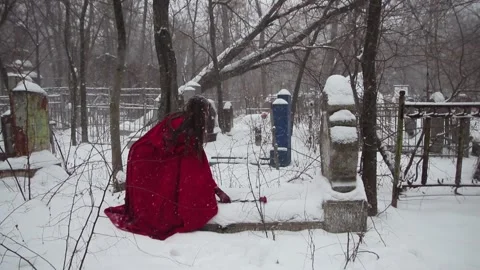 Headstone in the snow and red carnations Stock Footage 141678563