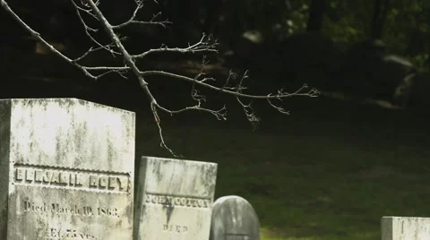 Headstone with Tree Branch in Cemetery Stock Footage 40908711