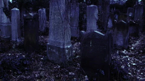 Headstone upright pan Stock-Footage 339825
