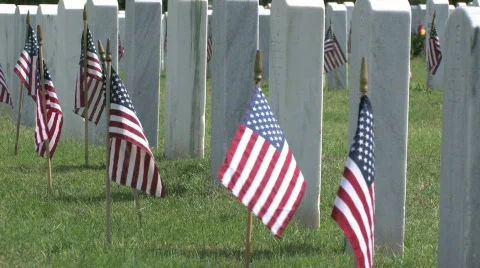 Headstones and flags close Veteran Cemetery M HD Stock Footage 137366