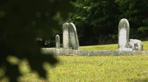 Headstones in Cemetery with Branches in the Foreground Stock Footage 40909873