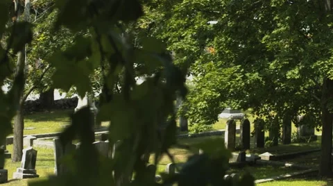 Headstones in Cemetery - Tree Branches in Front Stock Footage 40910845