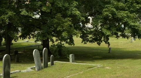 Headstones in Cemetery - With Trees Stock Footage 40911201