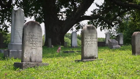 Headstones in a graveyard Stock Footage 290246286