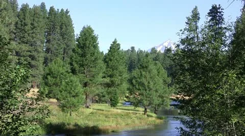Headwaters of the Metolius Stock Footage 10828004