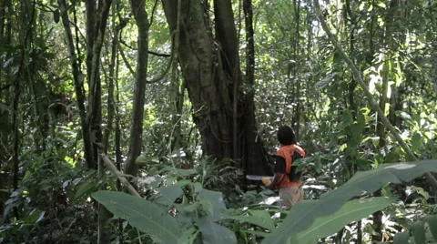 Healers from the Amazon Stock Footage 46625179