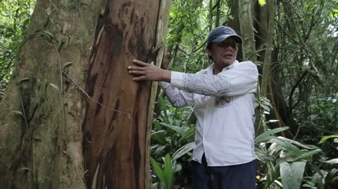 Healers from the Amazon Stock Footage 46625389