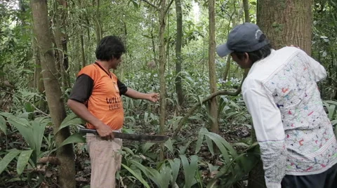 Healers from the Amazon Stock Footage 46625421