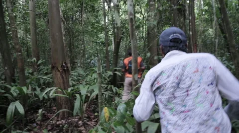 Healers from the Amazon Stock Footage 46625506