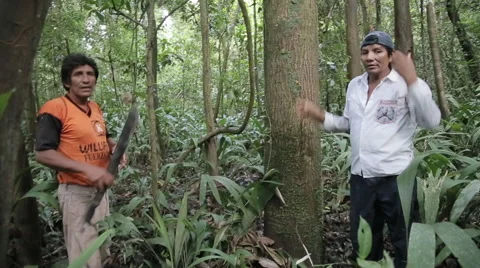 Healers from the Amazon Stock Footage 46625521