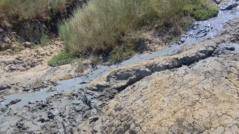 Healing mud flows like a stream. Mud volcano Hephaestus. Therapeutic mud is for  Stock Footage 301451566