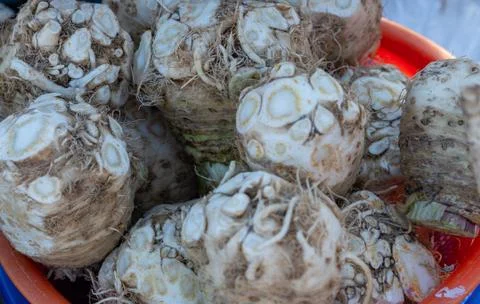 Healing root as background and texture Stock Photos