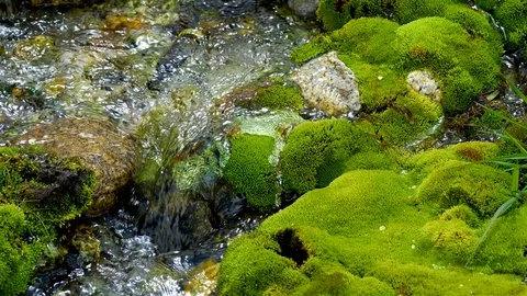 Healing water source 4 Stock Footage 82899618