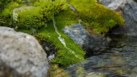 Healing water source 7 Stock Footage 82899862