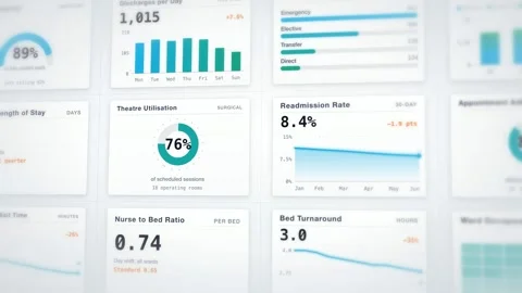 Healthcare Data Dashboard Visualization Medical Analytics Interface User Stock Footage 342478344