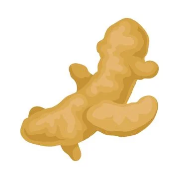 The Healthiest Spices On The Planet, Ginger Vector Illustration Isolated On Ilustración de archivo