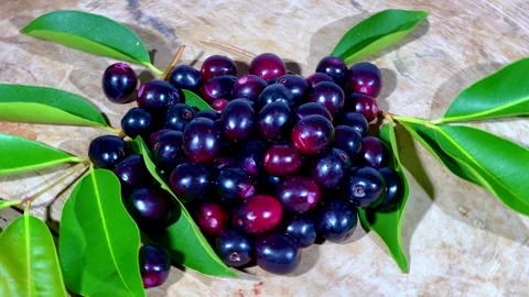 Healthy and organic java plums on a rotating table Stock Footage 285537890
