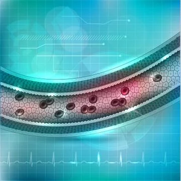Healthy artery cross section Stock Illustration