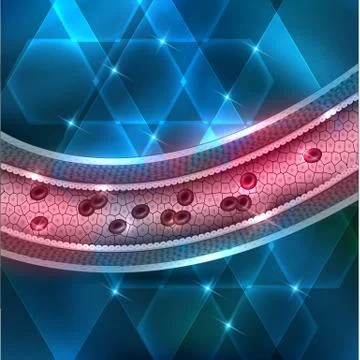 Healthy artery Stock Illustration