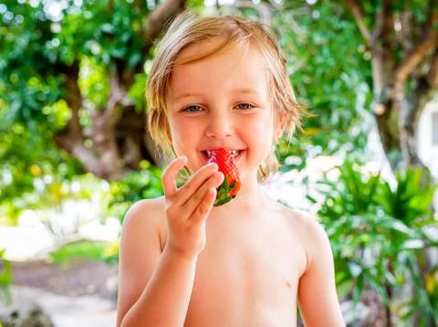 Healthy boy eats delicious red strawberry fruit Stock Photos